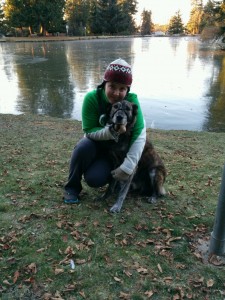 Photo 9